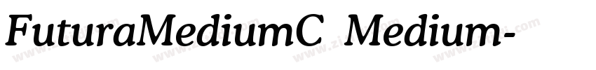 FuturaMediumC Medium字体转换
